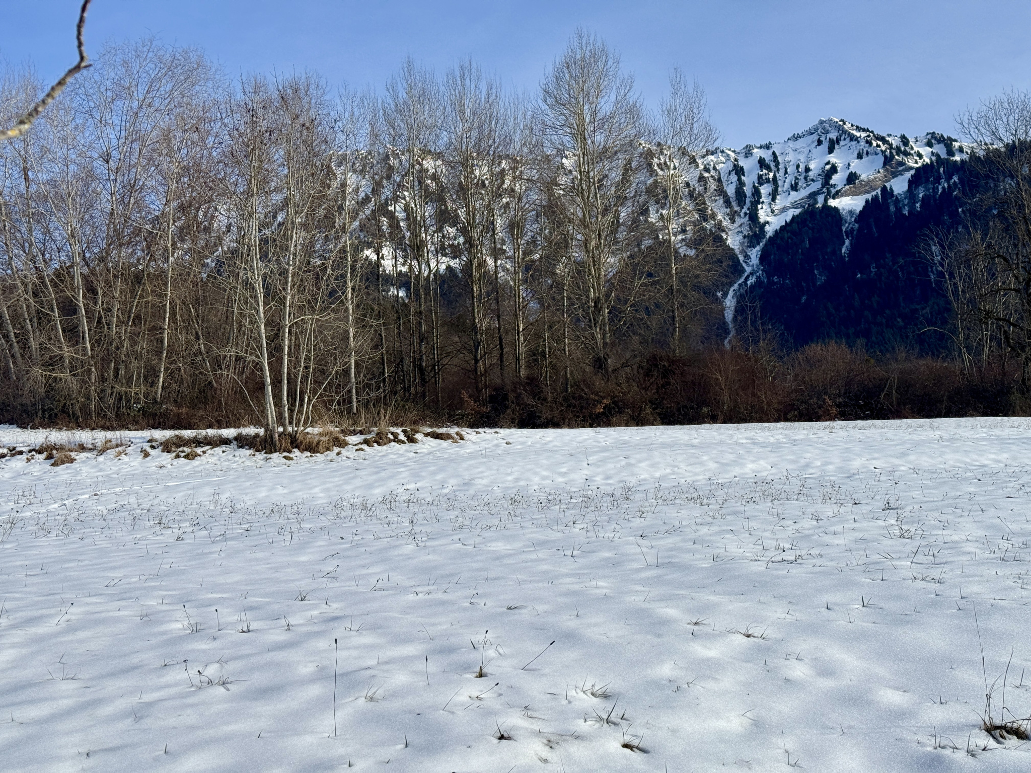FAVERGES - PREMIERE HAUTEUR VUE DOMINANTE - Terrain