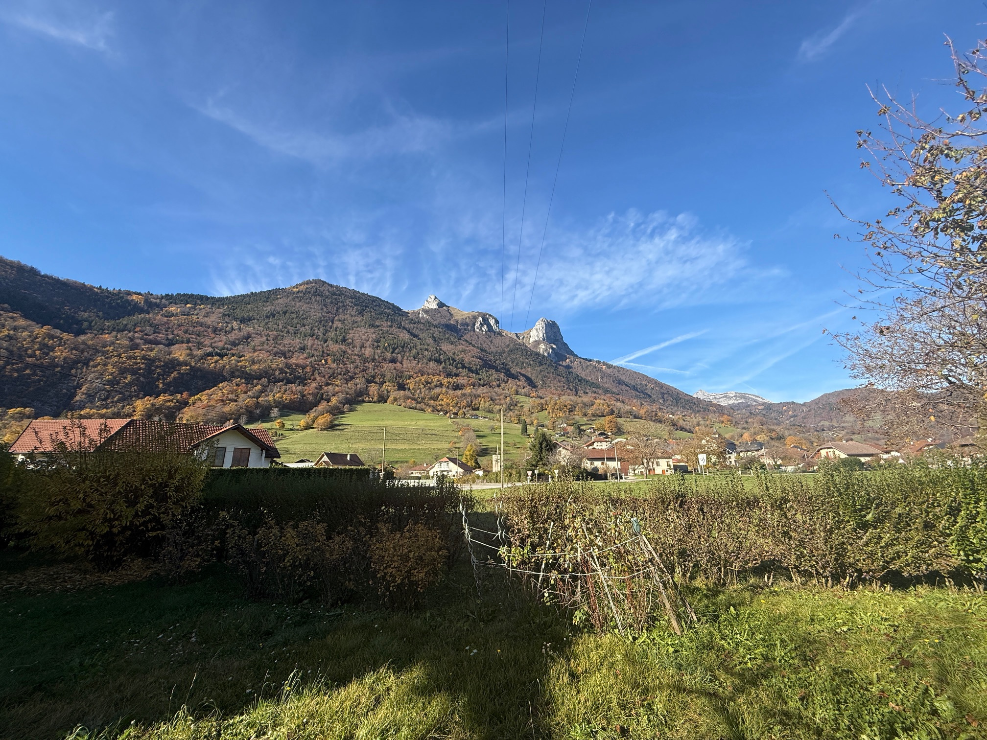 SAINT FERREOL - TERRAIN PLAT -